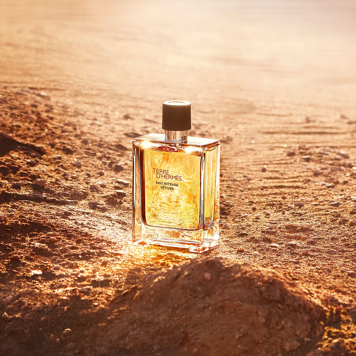 Terre d'Hermes Eau Intense Vétiver Eau de Parfum - HERMÈS
