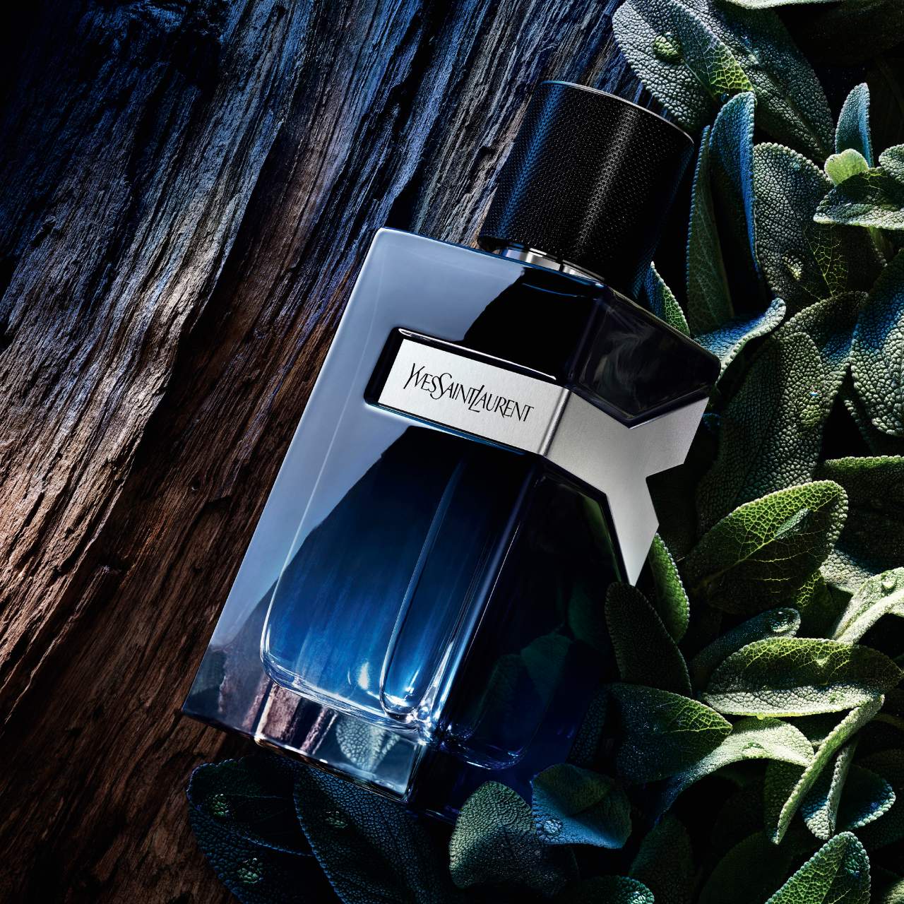 Y Eau de Parfum with Fresh Geranium & Sensual Woods - Yves Saint