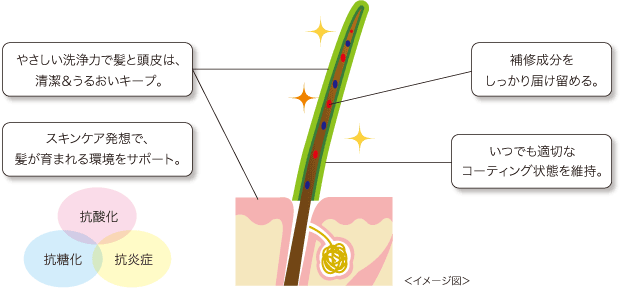 ディストリス シャンプー C5 ＆ ディストリス コンディショナー C5