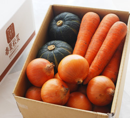 人気の「かぼちゃ・人参・玉ねぎ」の秋野菜の詰め合わせを通販・産直