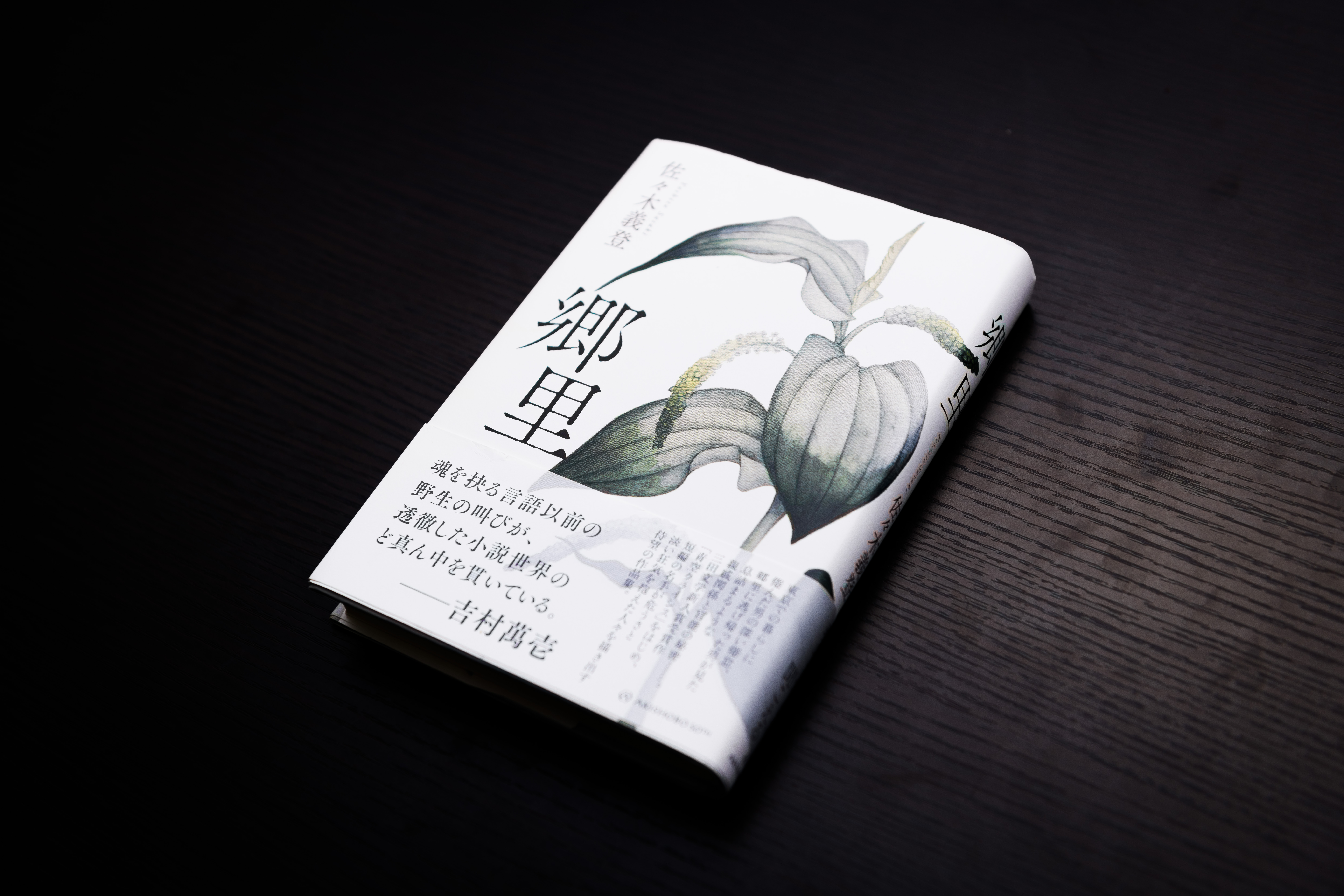 文学を軸に人間的な成長を促す - 四国大学