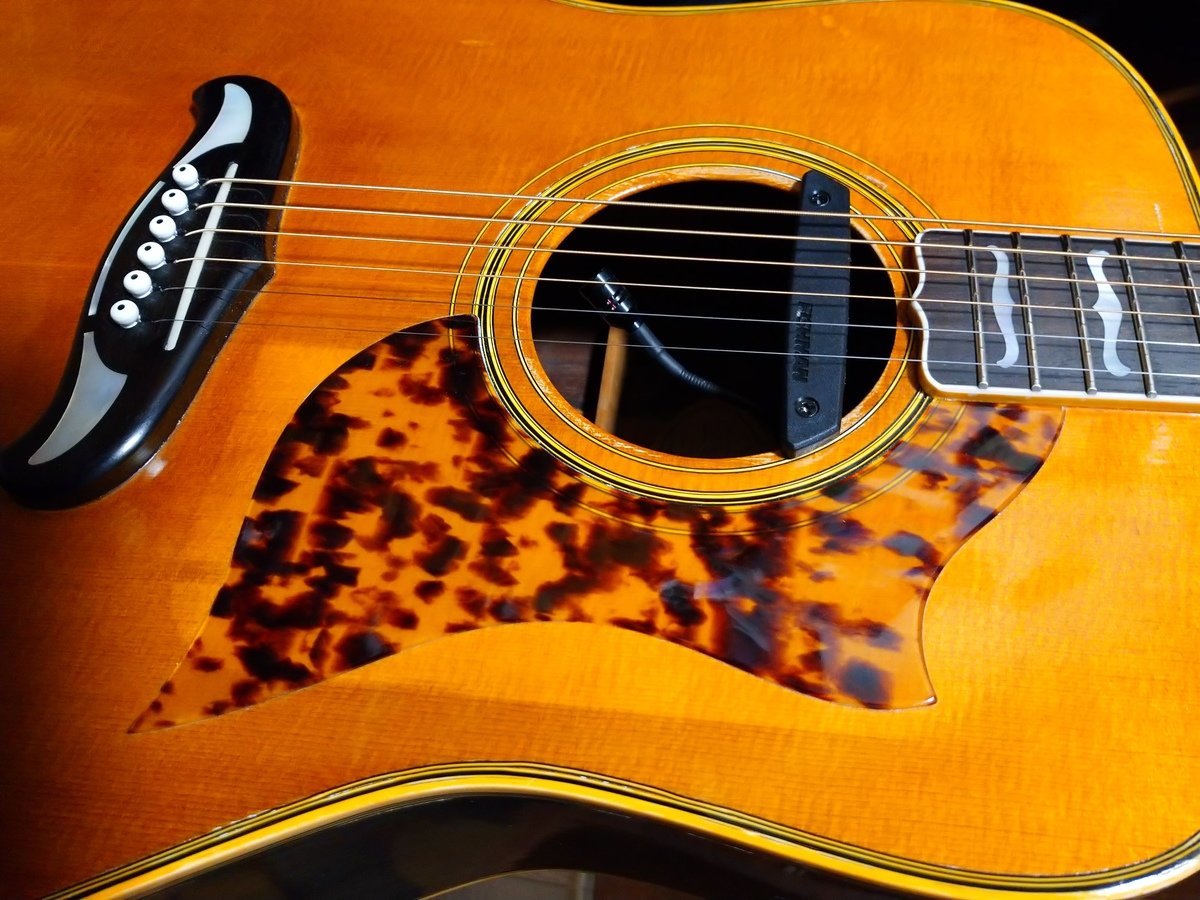 はじめてのヴィンテージギター、ヤマハ N-1000 - 富山市議会議員 し
