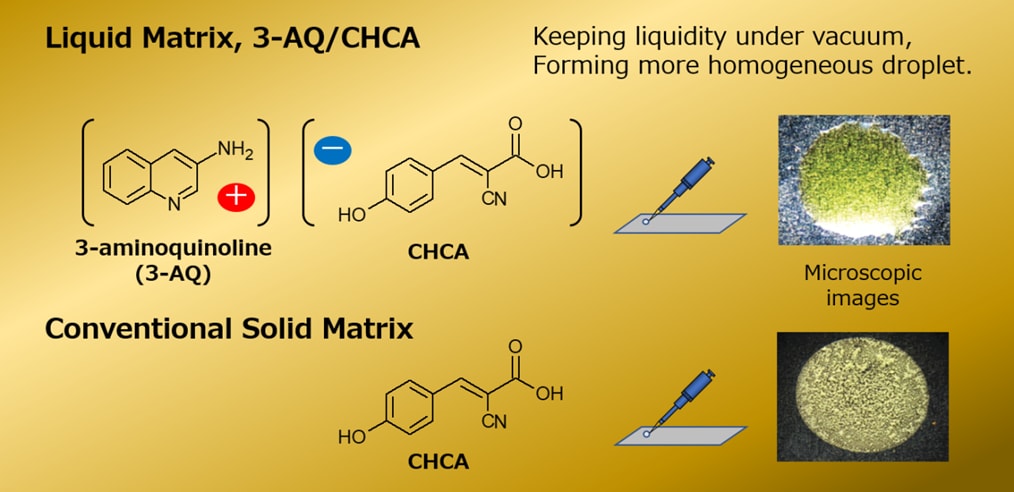 N-結合型糖鎖のMALDI-MS分析に有用な液体マトリックス | 技術コラム