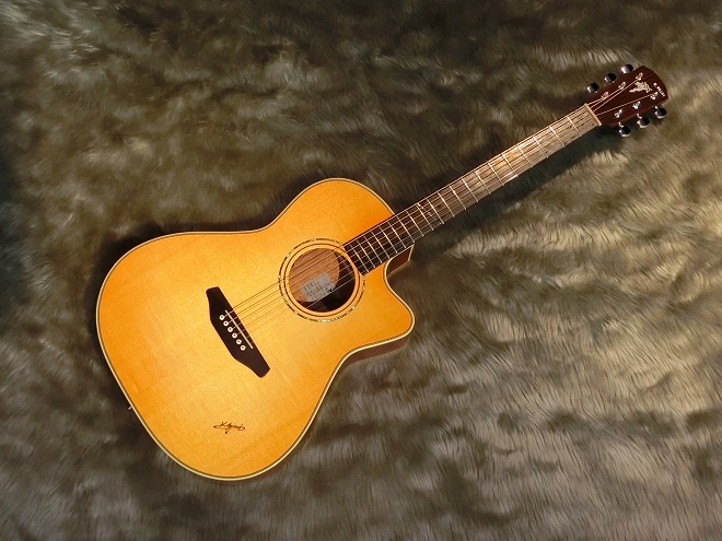 今年の夏はアコギ弾き語りでライブに出よう！エレアコのススメ｜島村