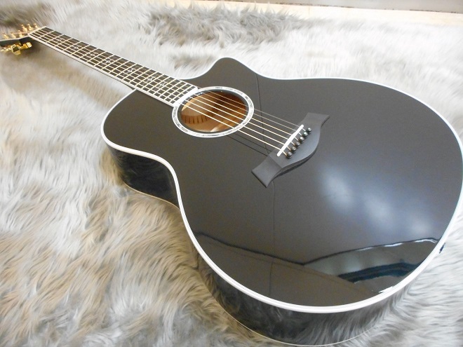 スラップ奏法と言えば！】Taylorから10本限定のカスタムモデルが入荷