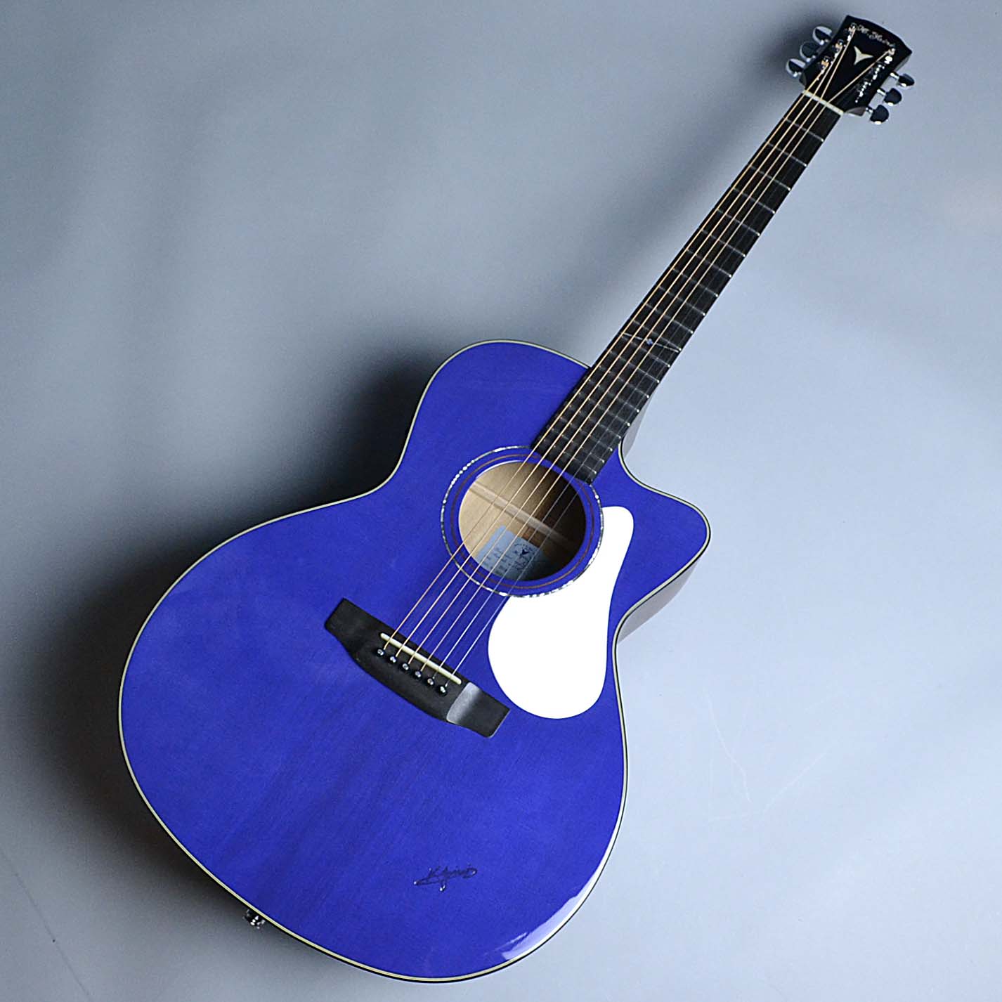 新商品入荷！】音量を上げろタコ！K.Yairi BM-65C｜島村楽器 吉祥寺