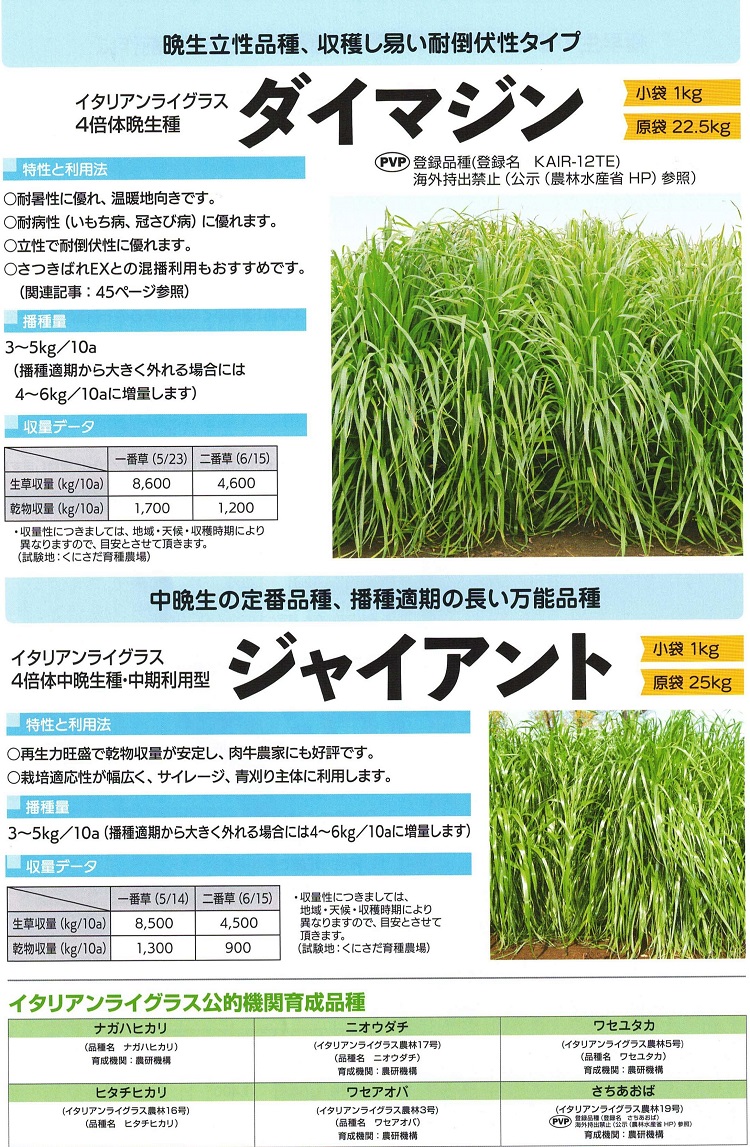 イタリアンライグラス種子】 カネコ種苗 ライジン2/いなずまGT