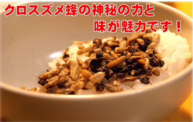 信州・須坂の珍味・昆虫食シリーズ蜂の子甘露煮塩味60g