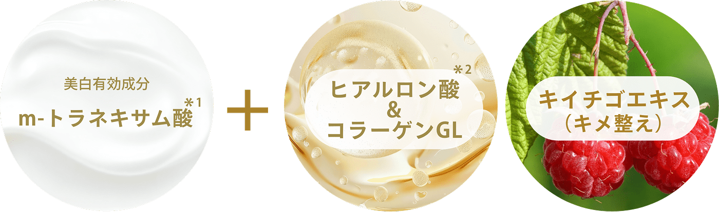 デイセラム N（医薬部外品）｜アネッサ（ANESSA）ブランドサイト｜資生堂