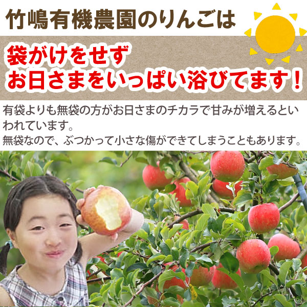 送料込】【A級品】サンふじ青森りんごノーワックス5kg【竹嶋有機農園