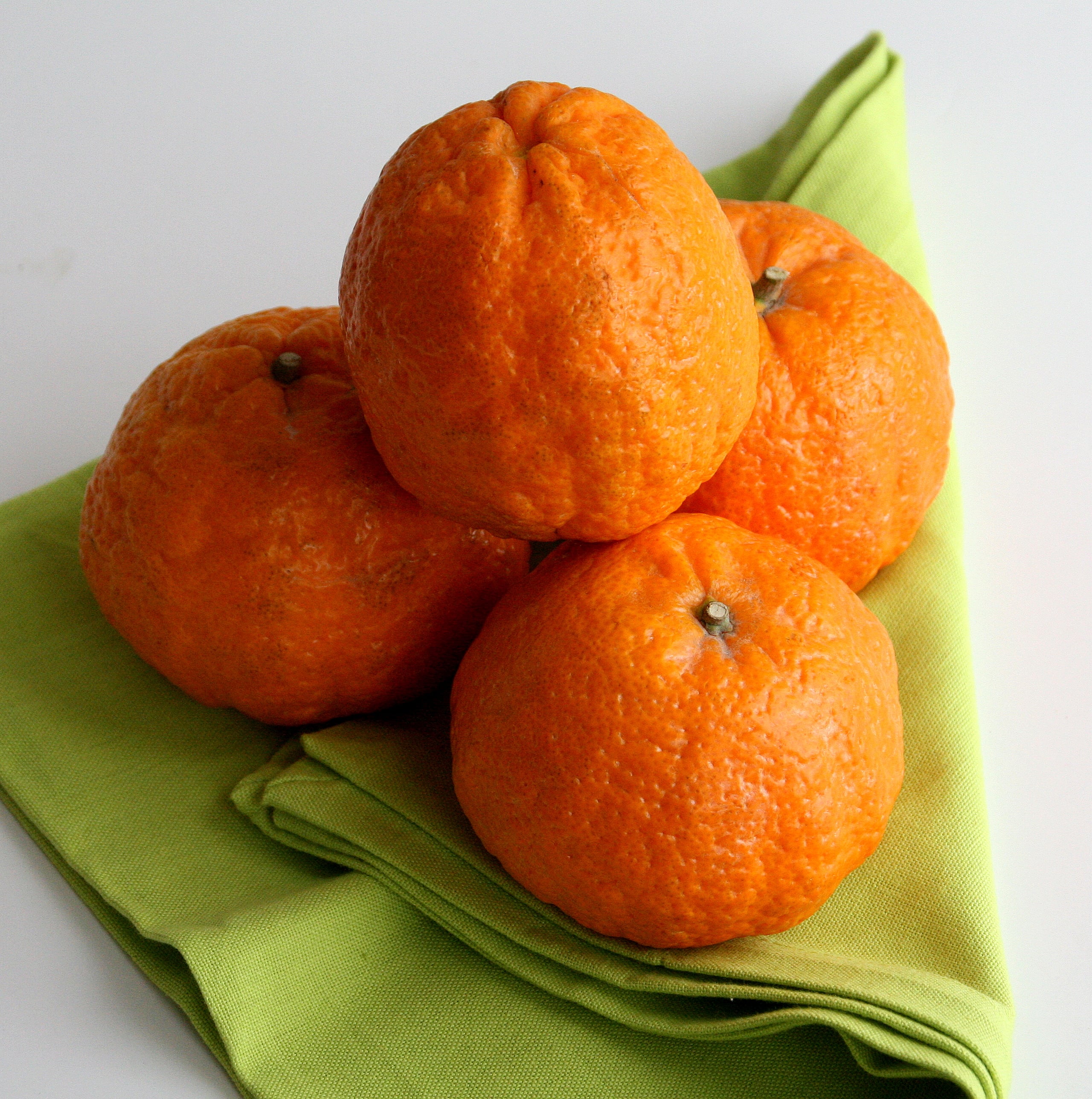 Introducing Gold Nugget Tangerines | Shockingly Delicious