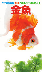 金魚 | 書籍 | 小学館