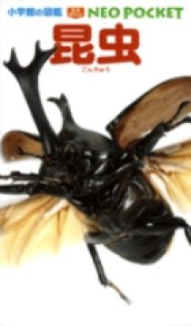 小学館の図鑑 NEO POCKET -ネオぽけっと- 昆虫 | 書籍 | 小学館