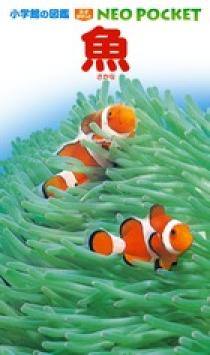 小学館の図鑑 NEO POCKET -ネオぽけっと- 魚 | 書籍 | 小学館