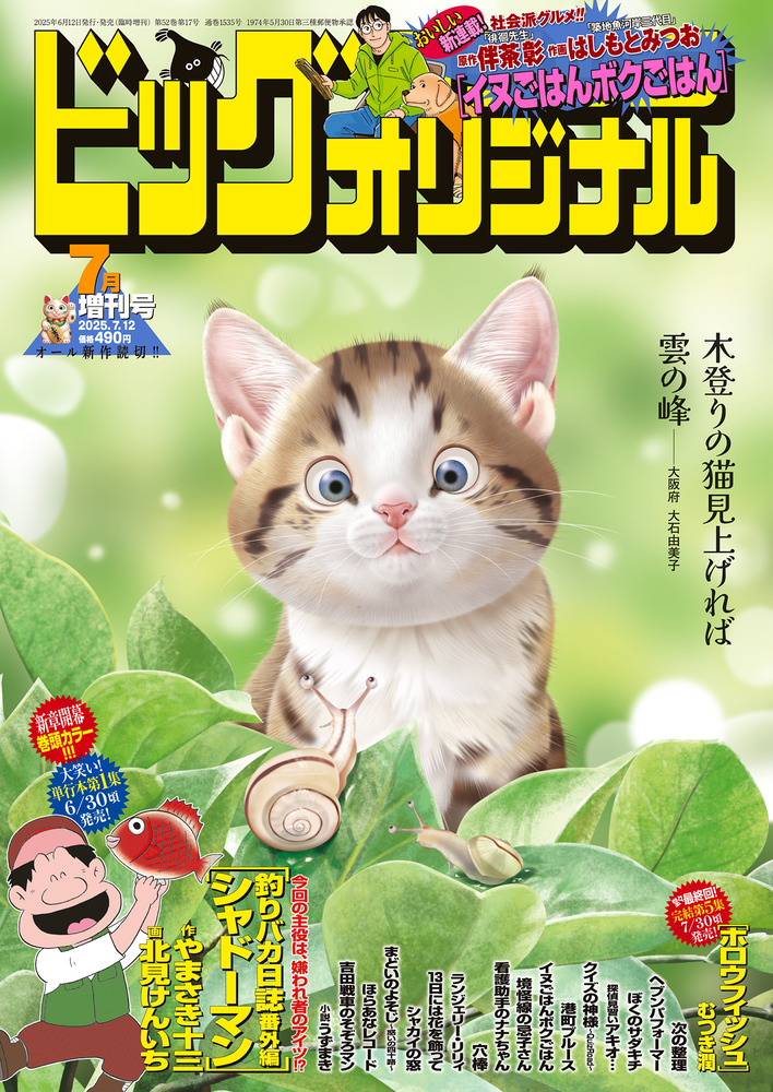 ビッグ オリジナル 7月増刊号 | 雑誌 | 小学館
