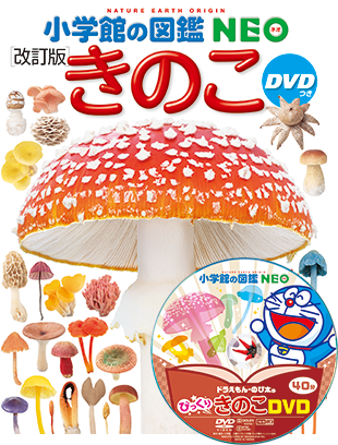 きのこ［改訂版］ DVDつき | 小学館の図鑑NEOシリーズ | 小学館