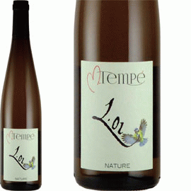 2月28日から発送】MT・ヴァン・ピノ・ノワール[2024]マルク・テンペ