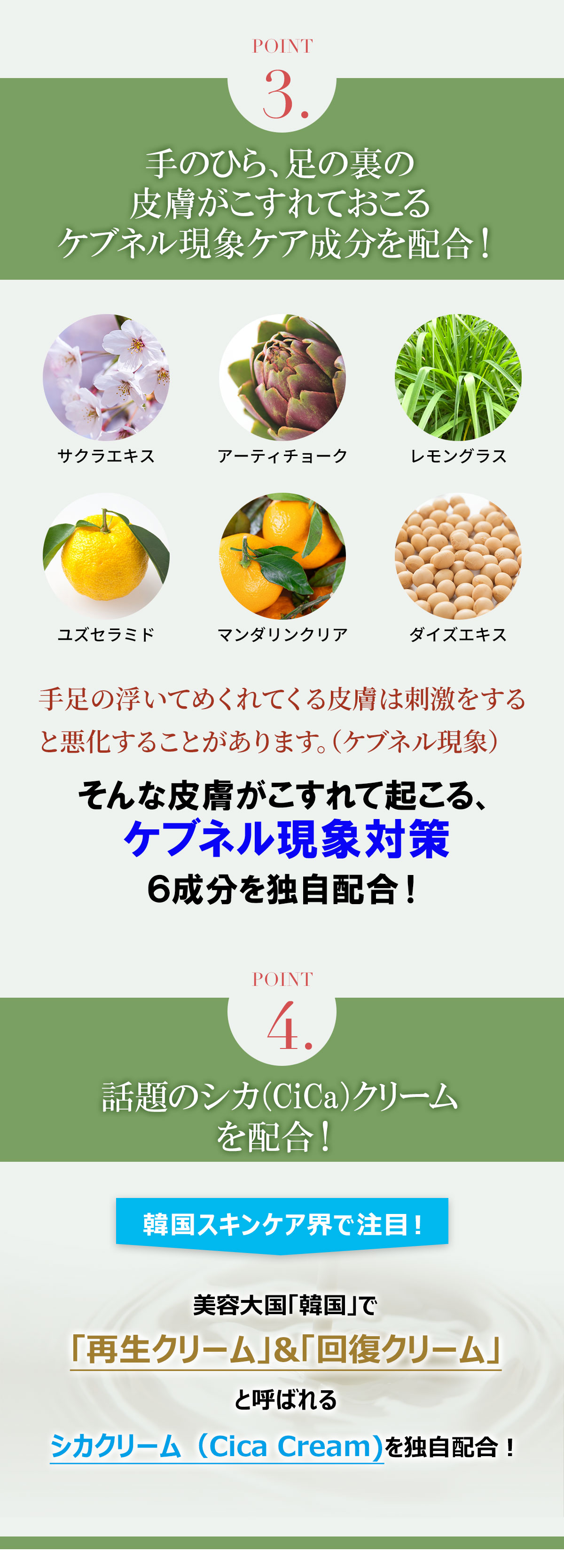 ショウセキン syousekin