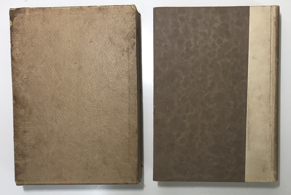 痴人の愛 大正14年第30版 著：谷崎潤一郎｜長島書店オンラインストア