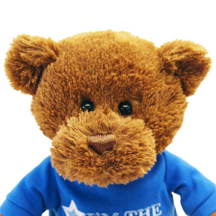 GUND ガンド ぬいぐるみ ビッグブラザー Tシャツ テディーベア