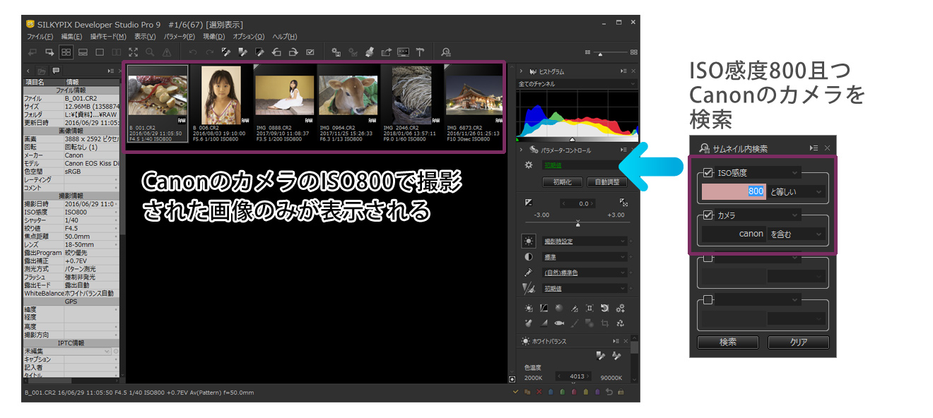Article | SILKYPIX Developer Studio Pro9からの便利な機能集①