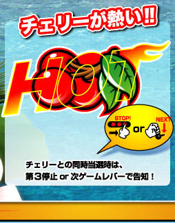 サンサンオアシス キュイーンVer. 基本仕様