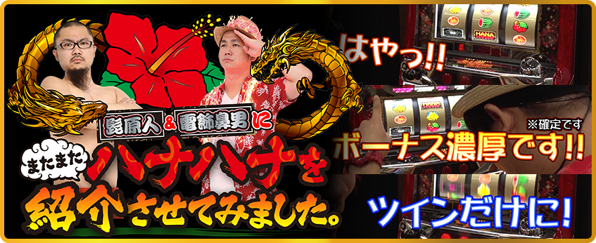 ツインドラゴンハナハナ-30 公式サイト