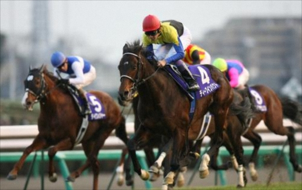 武豊、ディープインパクトを偲ぶ「私の人生において特別な馬