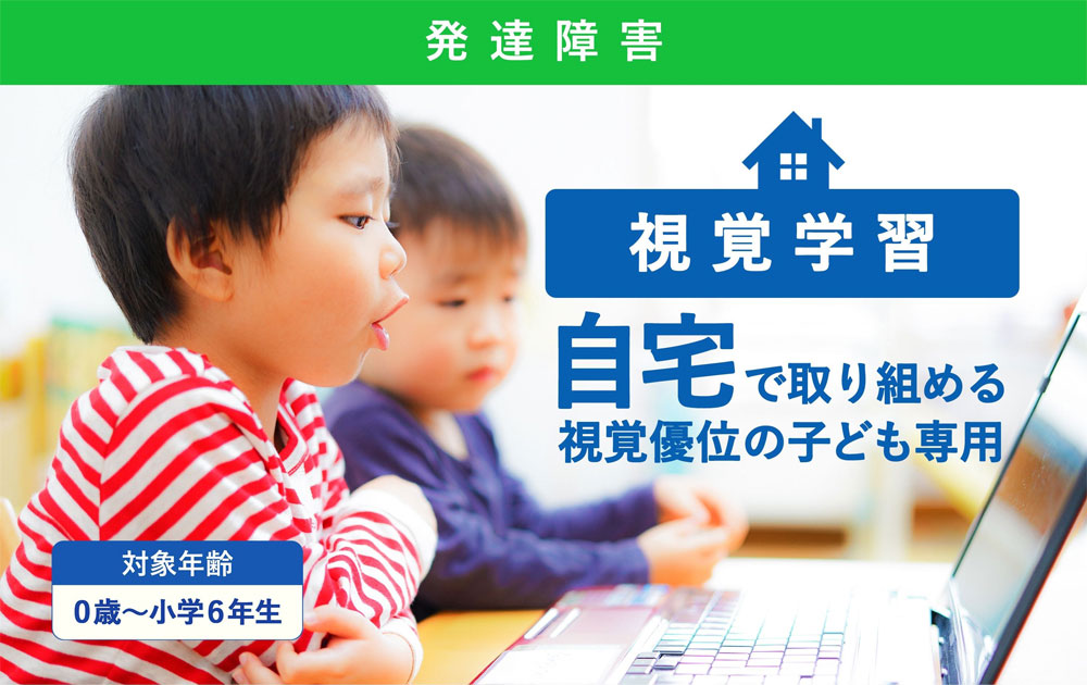 公式】視覚学習 ティンカーベル9巻 取り組みのヒント付 | 絵カード学習