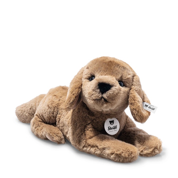 lenny-labrador-076886.jpg