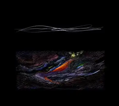 踊ってばかりの国 / MOANA [2LP - HRLP256/257]：JAPANESE：アナログ