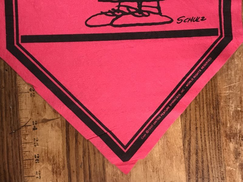 Peanuts Snoopy Charlie Brown “Win” Felt Banner チャーリー