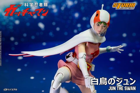 JUN THE SWAN G-3 (白鳥のジュン) Action Figure – Storm Collectibles
