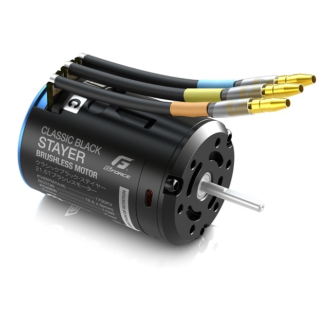 Classic Black Stayer Brushless Motor (21.5T) [G0423] - スーパー