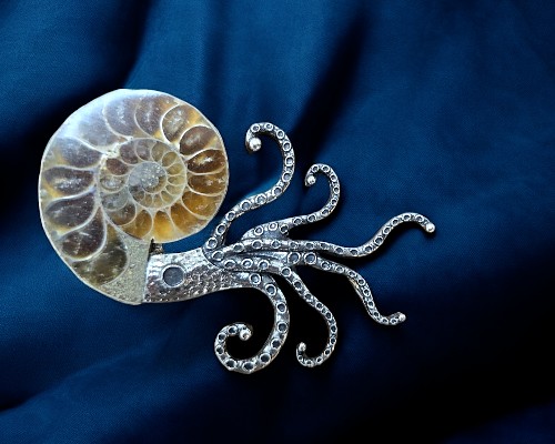 化石×恐竜×アンモナイト カテゴリ商品一覧｜天然石は地球の贈り物