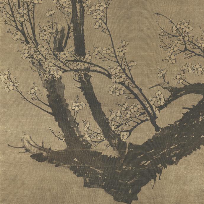 元·王冕《南枝春早图》 - 三希堂藏书