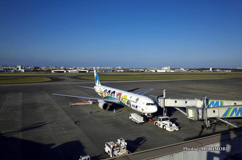 ANA ゆめジェット ～You&Me～｜宮崎ブーゲンビリア空港にて