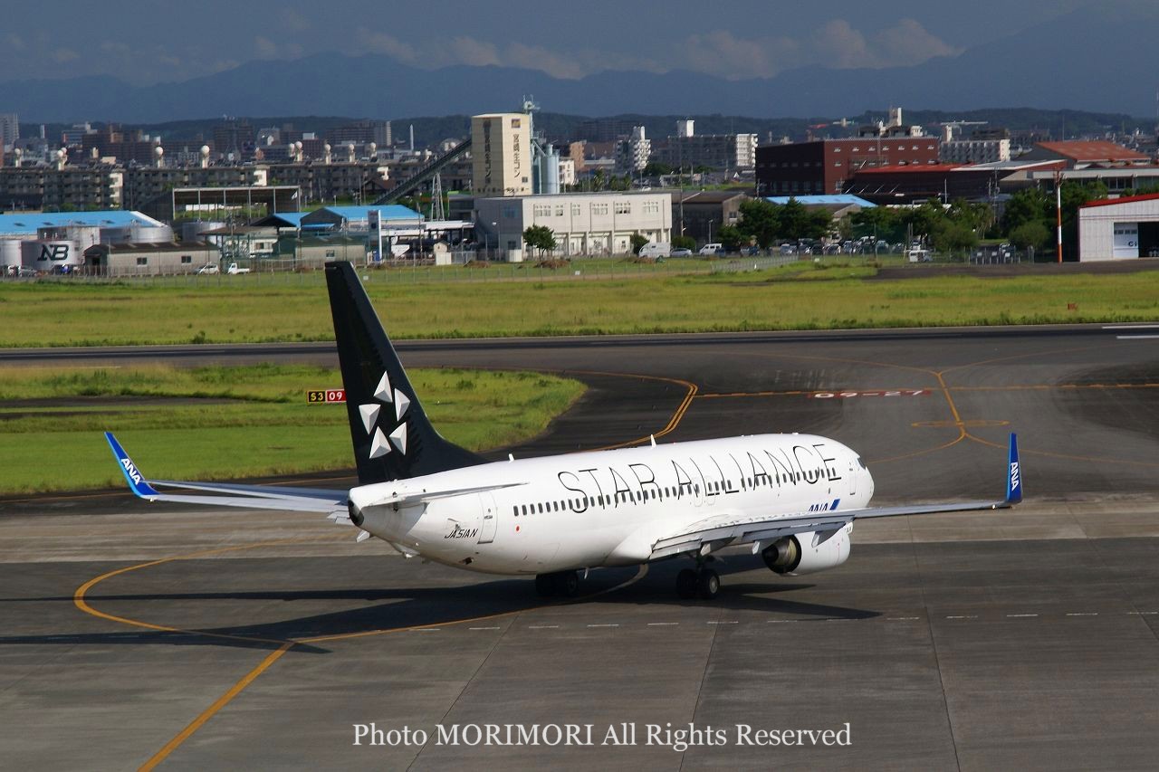 スターアライアンス特別塗装機の写真｜B737-800 JA51AN STAR ALLIANCE