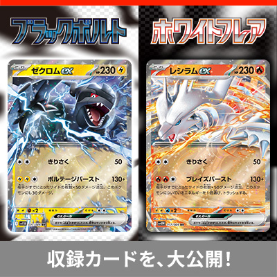 拡張パック「ブラックボルト」「ホワイトフレア」｜ポケモンカード