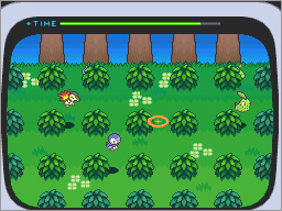 ポケモンを連れて来よう！｜『ポケットモンスターブラック2・ホワイト