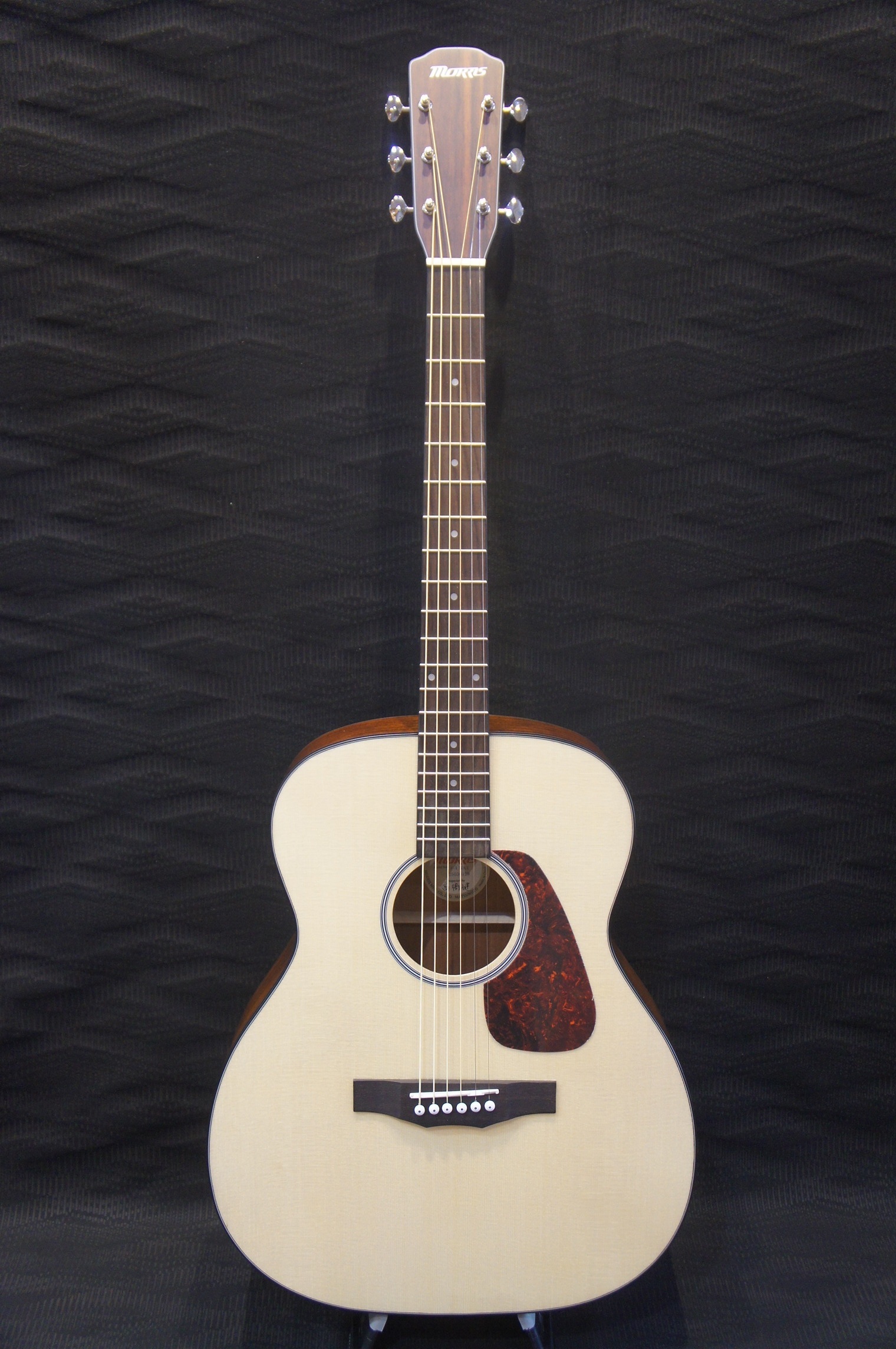 Morris F-1/NAT 商品詳細｜楽器の店ポンポロプー｜初心者から上級者