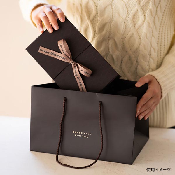 紙手提袋 EF-L2P エスペシャリーフォーユーラージペーパーバッグ-2 10