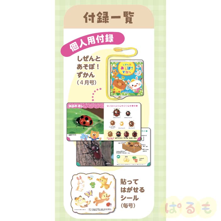 年間購読】チャイルドブック あそぼ！ 2026年4月～｜チャイルドブック