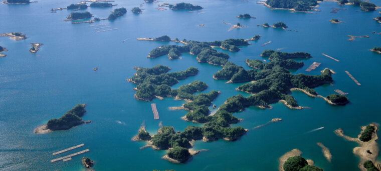 油絵（西海国立公園九十九島）F10号530mm x 455mm