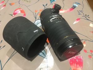 Sigma APO EX IF Macro 180mm F3.5 Lens Reviews - Sigma Lenses