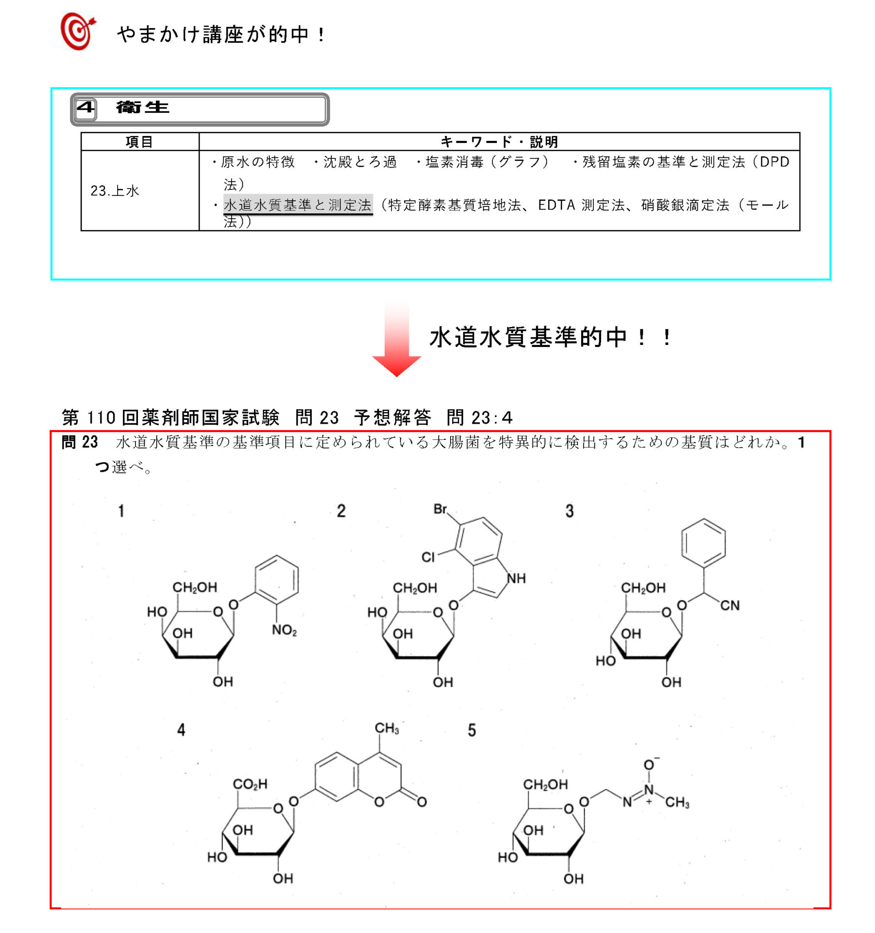 第110回 薬剤師国家試験 的中問題 – 薬剤師国家試験対策予備校