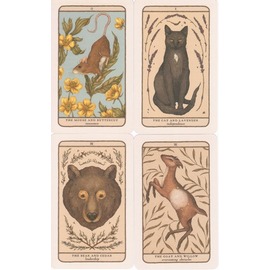 子どものためのケルビムエンジェルカード』（専用日本語解説書付き