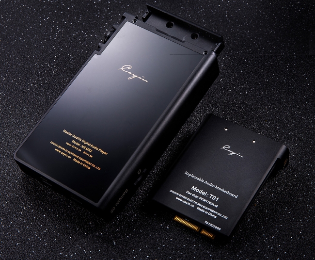 Cayin N6MK2交換オーディオマザーボード T01と革ケース Cayin N6MK2