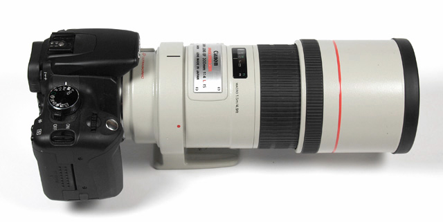 Canon EF 300mm f/4 USM L IS - Review / Test Report