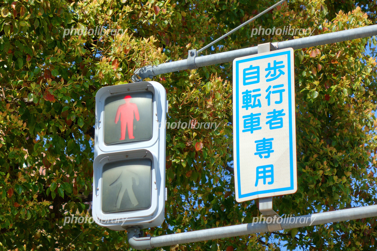 歩行者用信号機 写真素材 [7059823] - フォトライブラリー